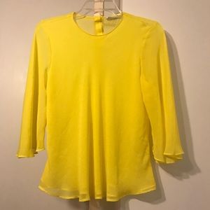 Zara sheer top